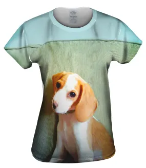 Bashful Little Beagle