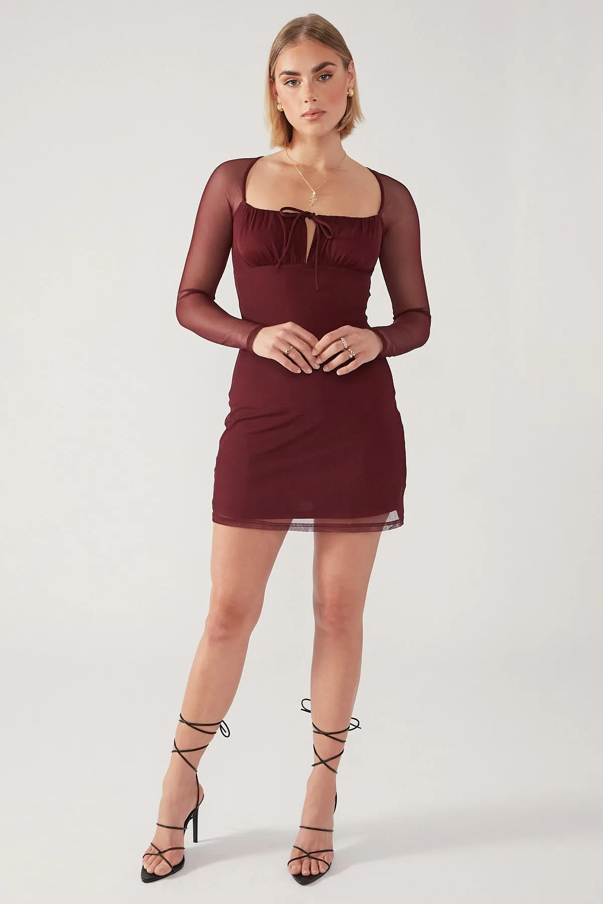 Burgundy Mesh Bodycon Mini Dress