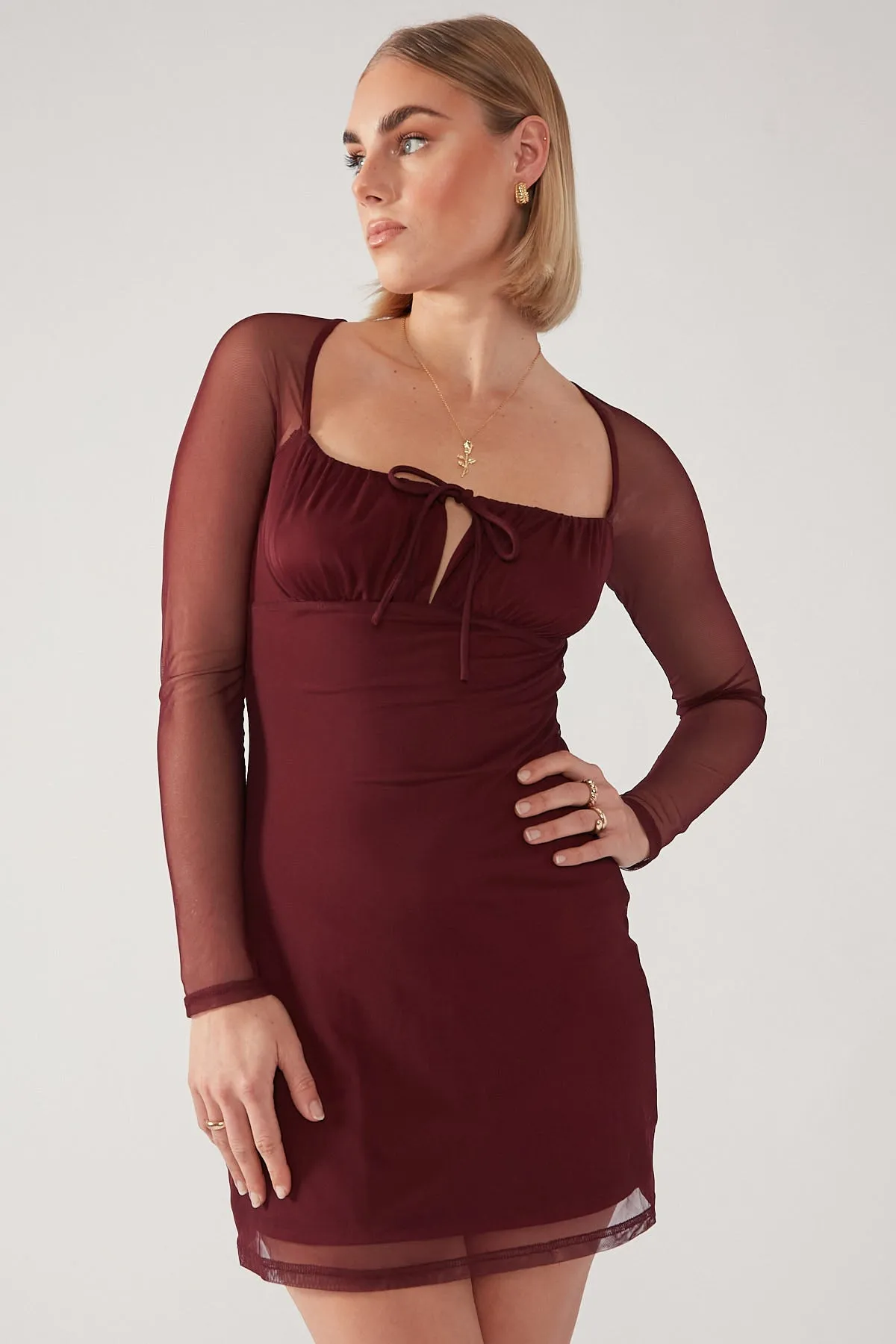 Burgundy Mesh Bodycon Mini Dress