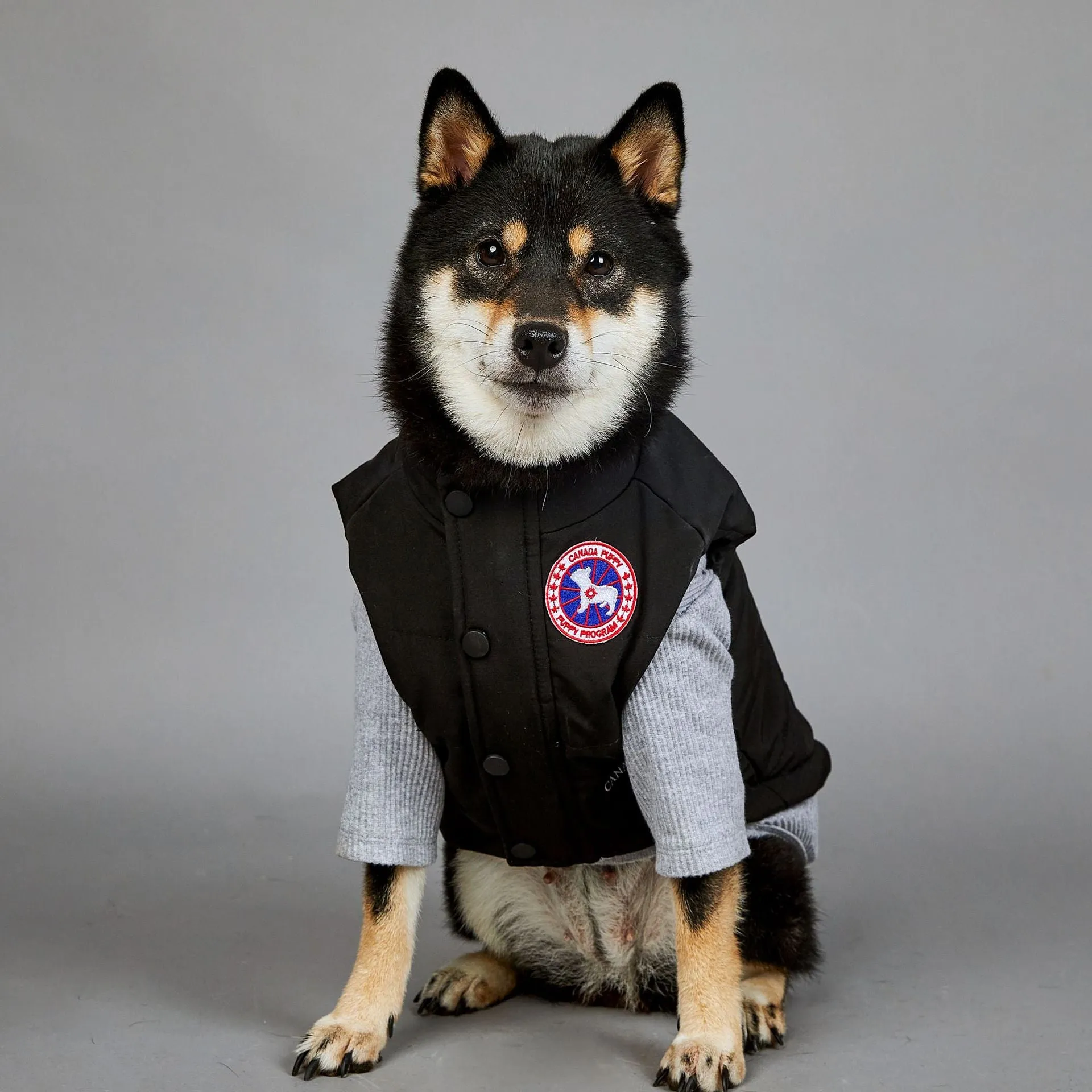 Large Dog Winter Warm Pet Vest