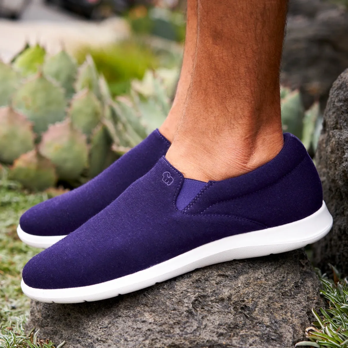 Men's Slip-Ons Deep Purple